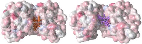 Antibiotics | March 2023 - Browse Articles