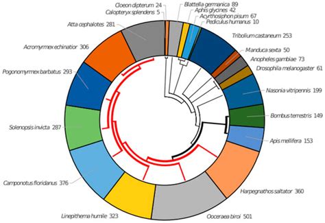 Annotation and Analysis of 3902 Odorant Receptor Protein Sequences from ...