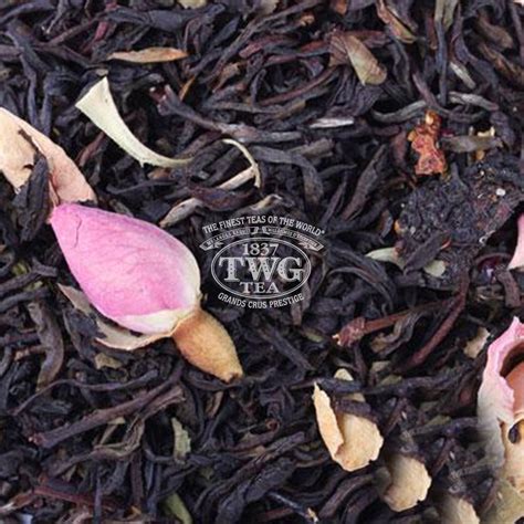 Black Teas – The Wellness Store