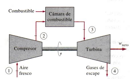 Image result for Lab Report Example 3rd Person
