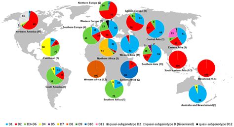 Hepatitis B Virus Genotype D: An Overview of Molecular Epidemiology, Evolutionary History, and ...