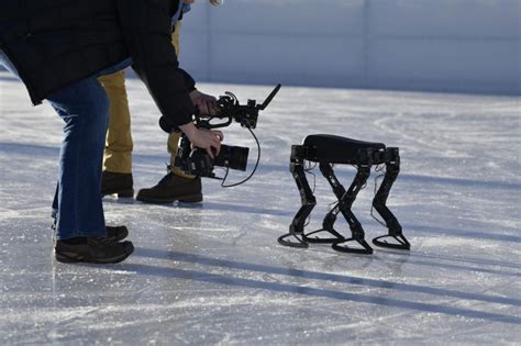 Quadruped Ice Skating Robot Skatebot Can Compete With Hockey Players ...