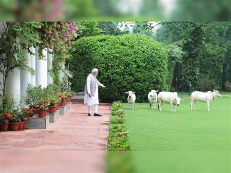 PM Modi's 7 Lok Kalyan Marg Vs Sonia Gandhi's 10 Janpath: Whose ...