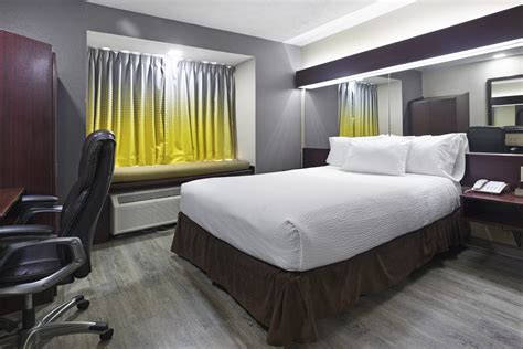 Definition Of Bonita