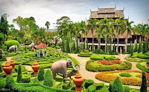 Enjoy Nemo and Pattaya One Day Tour from Bangkok or Pattaya - Klook India
