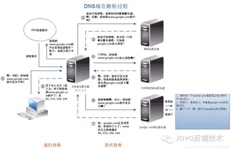 DNS的概念、用途、查询算法_Chackca的博客-CSDN博客_dns查询