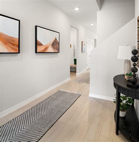 The Texas Olive Floorplan - Desert View Homes - New Home Construction