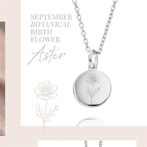 September Birth Flower Necklace | Aster Jewelry