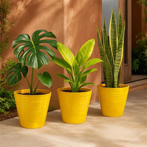 Plastic Matrix Pots - (Set of 3)