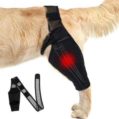 Amazon.com : AZOJOY Dog Knee Brace Leg Braces For Support With Cruciate ...