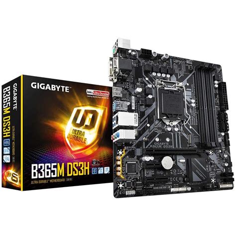 Amazon.in: Buy Gigabyte B365M DS3H (LGA1151/Intel/Micro ATX/USB 3.1 Gen ...