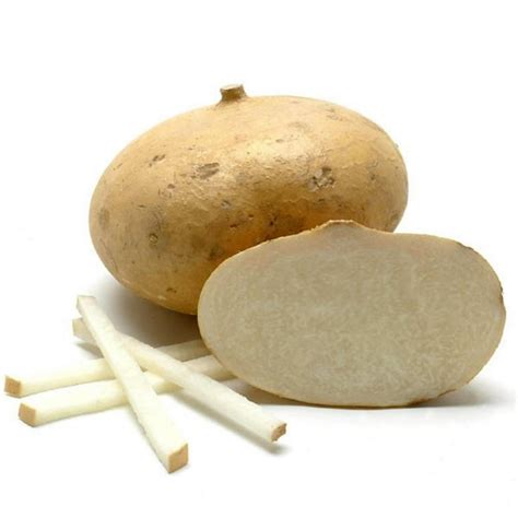 Yam In Spanish Meaning at Maria Robichaux blog