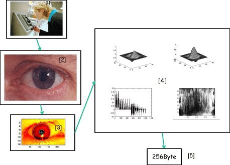 IRISLink Scanner 的图像结果
