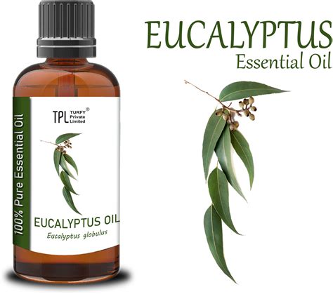 Justdun | TPL Eucalyptus Essential Oil 100% Pure Therapeutic Grade for ...