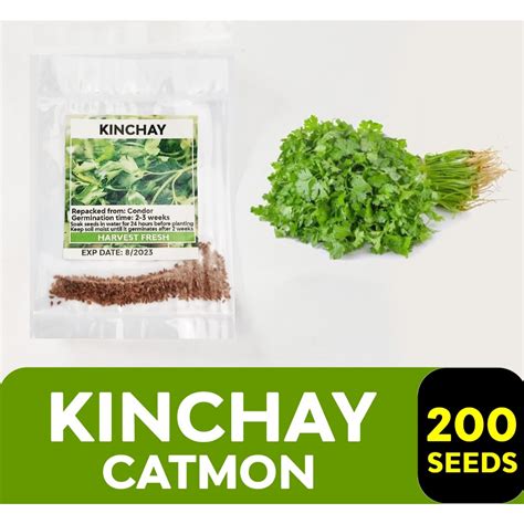 Herb Seeds - Basil Rosemary Oregano Sage Thyme Arugula Celery Coriander ...