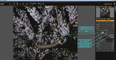 Image result for LightZone Tutorials