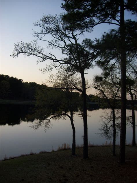 Dragonfly's Poetry & Prolixity: In Blackwater Woods by Mary Oliver