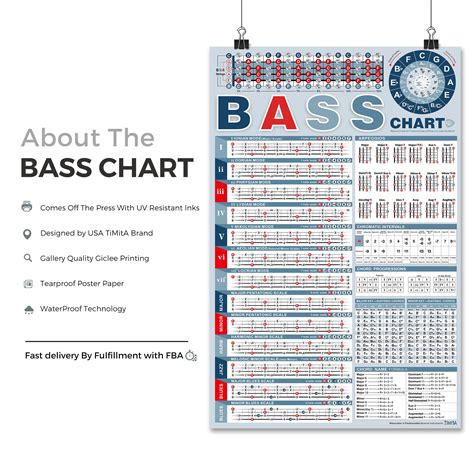 Image result for Bass Scale Patterns
