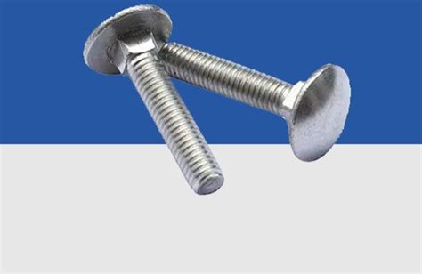Carrige Bolts Manufacturer Exporter Supplier from Ankleshwar India