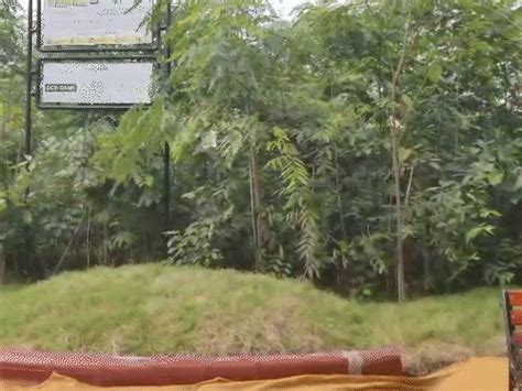 AMC achieves 66% of target of 40 lakh tree plantation, special emphasis ...