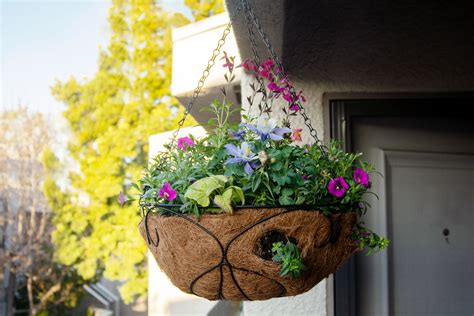 Hanging Plant Baskets Nz at Anne Barnes blog