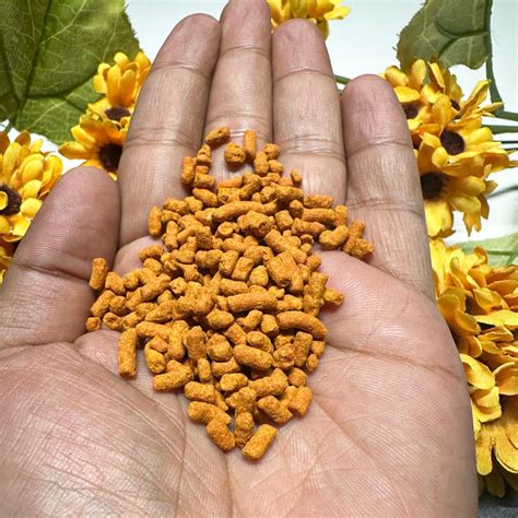 4OUR FAITH Danedar Yellow Chandan Puja Tilak Sandal Sacred India | Ubuy