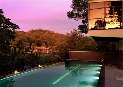THEKKADY TREETOP RESORT | Mysite