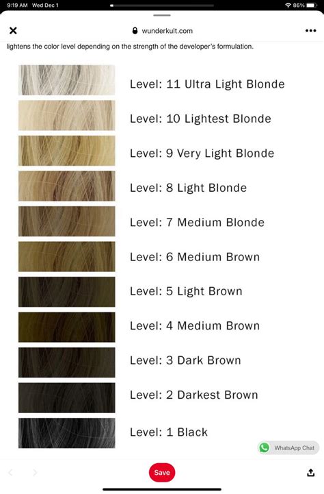 Image result for Color Level Chart