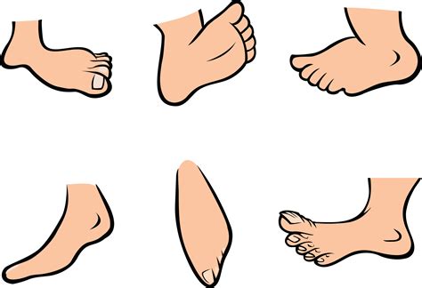 Free Foot Clipart Pictures - Clipartix