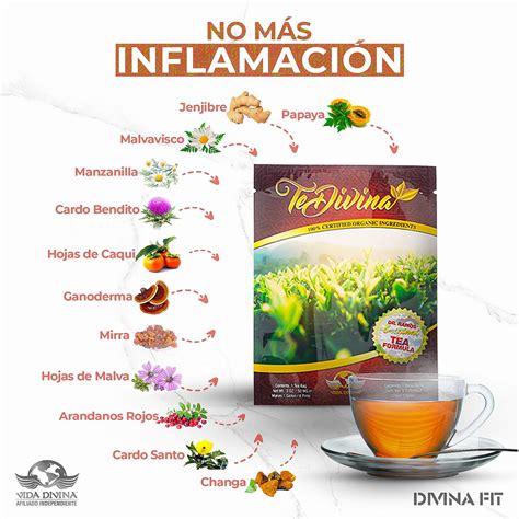 Té Divina Original 6 Sobres – Detox Completo de 6 Semanas – Vida Divina ...