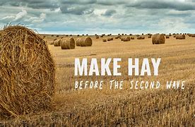 make hay 的图像结果