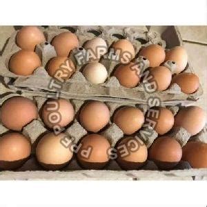 Wholesale Brown Vanaraja Chicks,Indian Runner Hatching Eggs Supplier ...