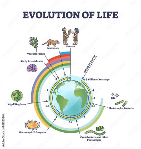 Evolution Timeline Chart 的图像结果