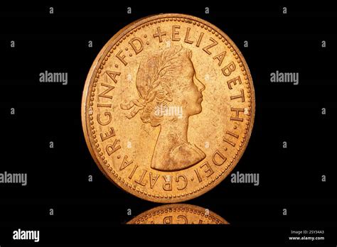 Image result for CombineZP Tutorial