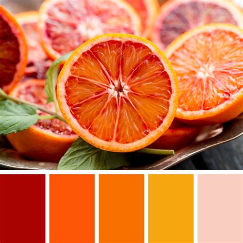 Blood Orange Halves Color Palette