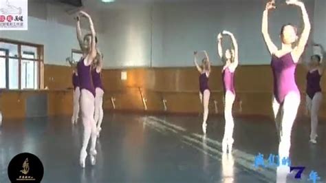 芭蕾舞入门20个基本动作是什么-百度经验