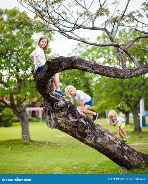 Climb That Tree 的图像结果