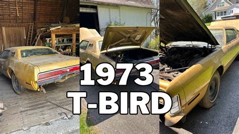 1973 T-Bird Left Kentucky in 1984, Got a Repaint in 1985, Was Abandoned ...