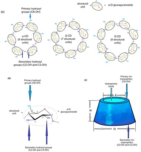 Advancements in Cyclodextrin Complexes with Bioactive Secondary ...