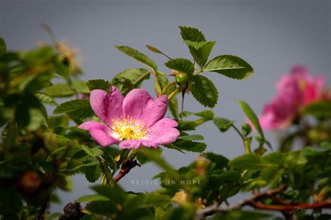 Rejoice in Hope - Jeff Cummings Photography