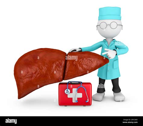 Doctor explores liver Stock Photo - Alamy
