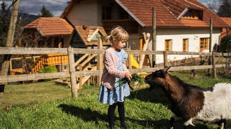 Ecological Tourist Farm Urška – Green Farm house in Stranice ...