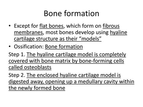 Image result for Process of Bone Formation