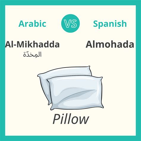 Arabic vs. Spanish, 10 Similar Words — 3arabian