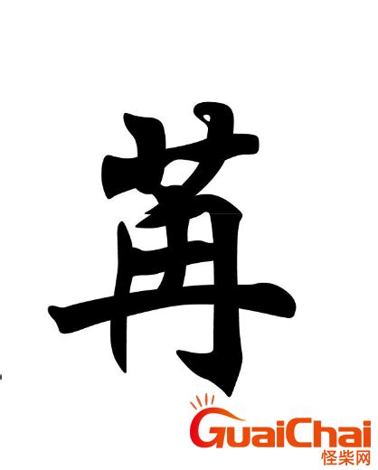 苒字取名有什么寓意？苒字代表什么？