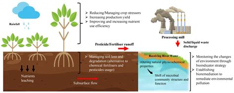 Advancement of Metatranscriptomics towards Productive Agriculture and ...