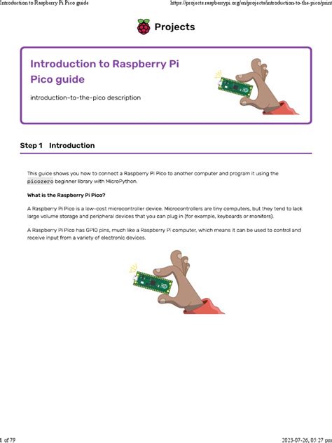 Image result for Pico Tutorial