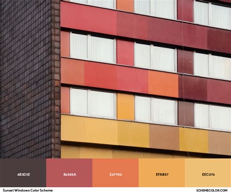 Image result for Windows Color