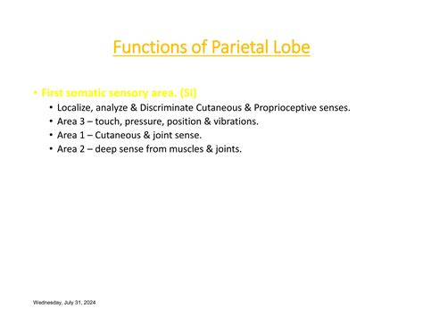 Kluver-Bucy Syndrome.ppt affecting cerebral cortex | PPT