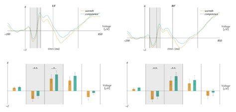The Affect Misattribution in the Interpretation of Ambiguous Stimuli in ...